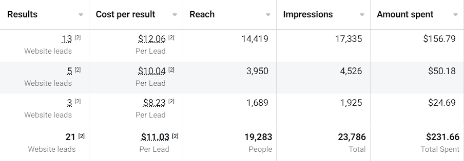 Meta Ads Social Advertising Results