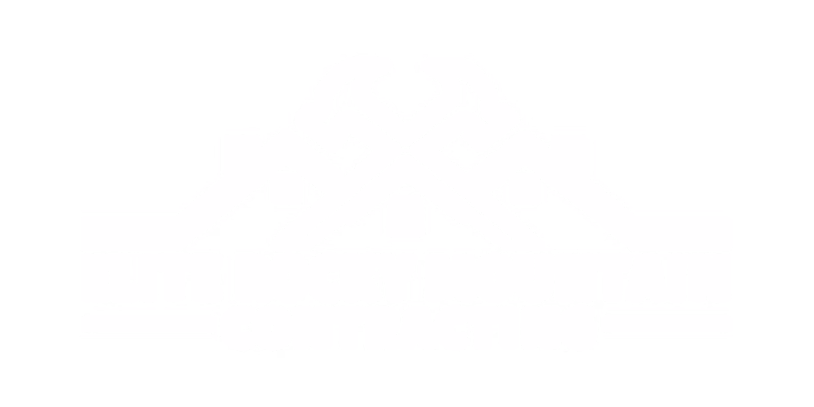 elite rocky mountain contracting logo padded transparent